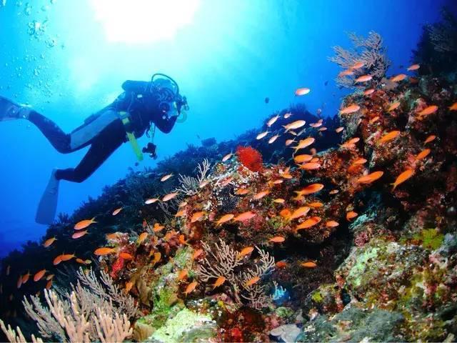 海南温蒂科技:飞语商城2024年会在古都西安隆重举行