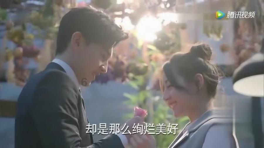 森迪公主夏日度假