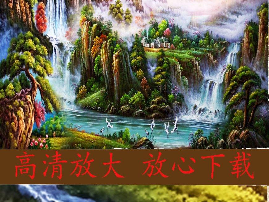 春雨直播app